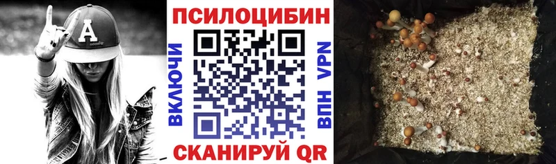 Галлюциногенные грибы мицелий Теберда